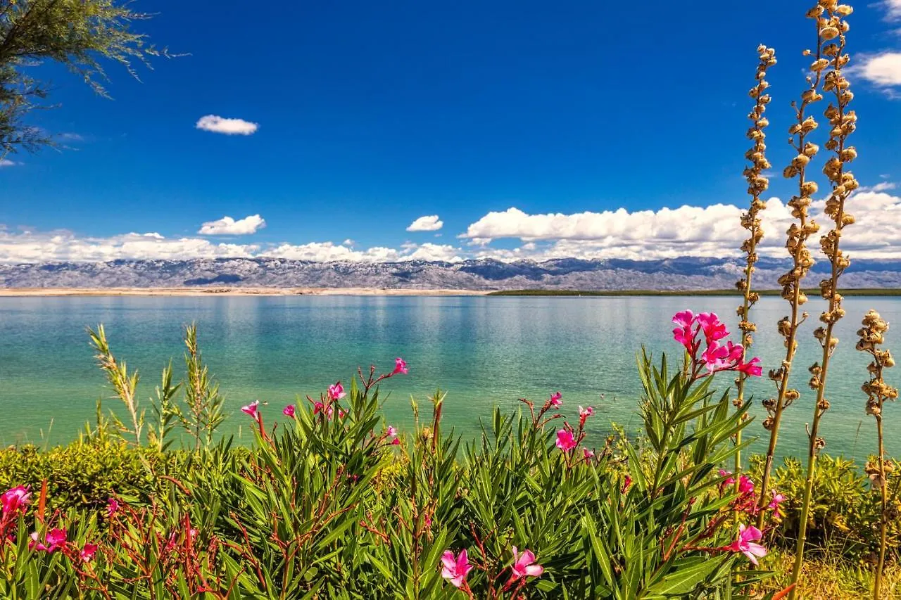 Camping Paklenica Starigrad Paklenica Kroatien